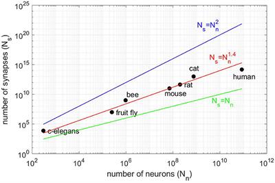 Simulation of Large Scale Neural Models With Event-Driven Connectivity Generation